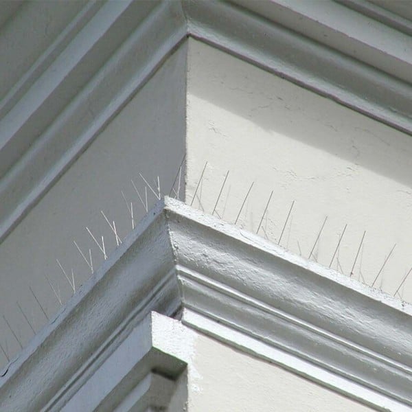 bb8515b3-a11a-4d8d-ab54-c379ff125783